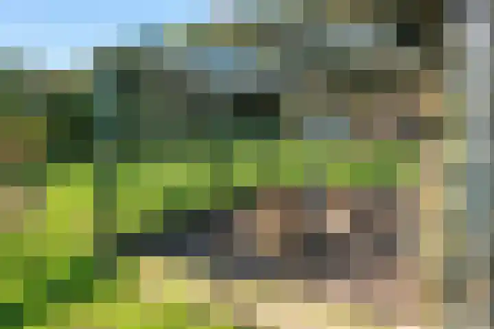 Hemweg 2 Akersloot thumbnail 49
