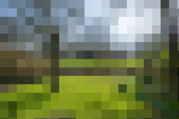 Hemweg 2 Akersloot thumbnail 50