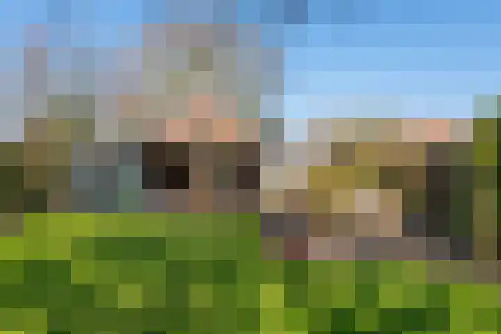 Hemweg 2 Akersloot thumbnail 52