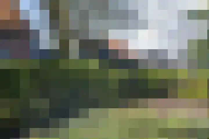 Hemweg 2 Akersloot thumbnail 58