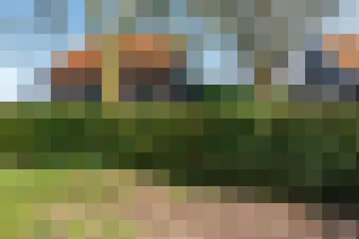 Hemweg 2 Akersloot thumbnail 59