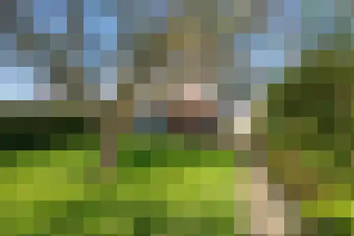 Hemweg 2 Akersloot thumbnail 6