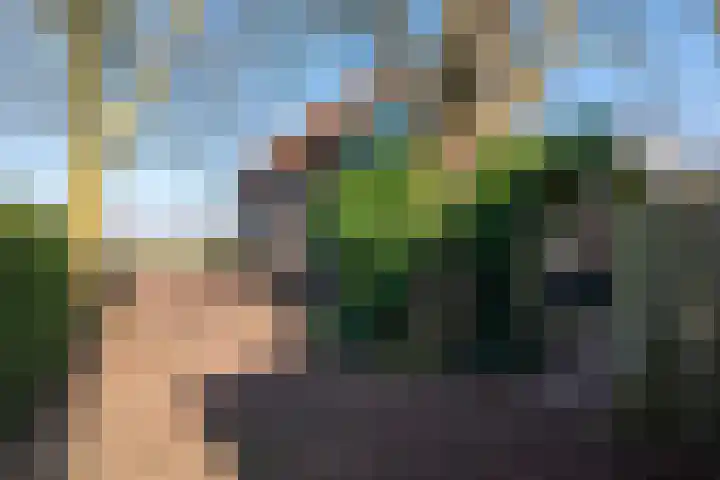Hemweg 2 Akersloot thumbnail 62