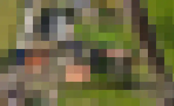 Hemweg 2 Akersloot thumbnail 68