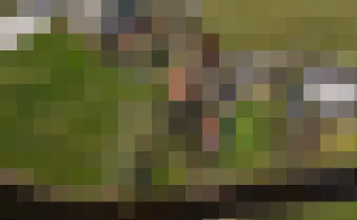 Hemweg 2 Akersloot thumbnail 69