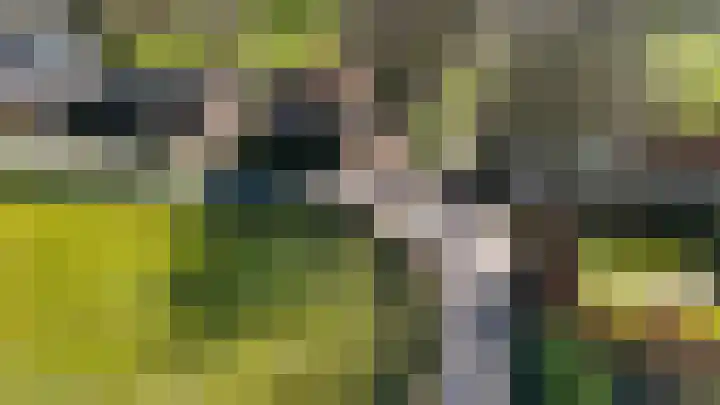 Hemweg 2 Akersloot thumbnail 75