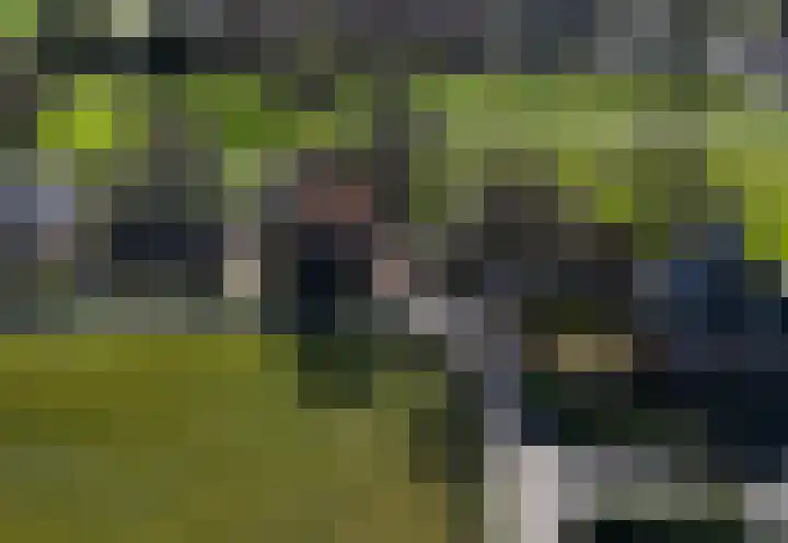 Hemweg 2 Akersloot thumbnail 76