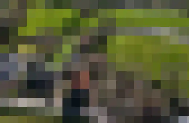 Hemweg 2 Akersloot thumbnail 77