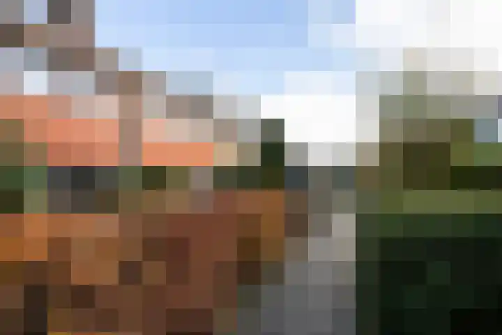 Henckenshagen 16 Haarlem thumbnail 23