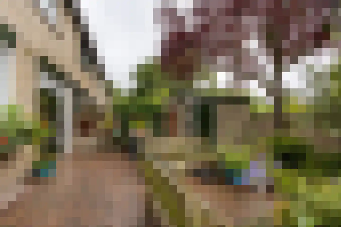 Henckenshagen 38 Haarlem thumbnail 22
