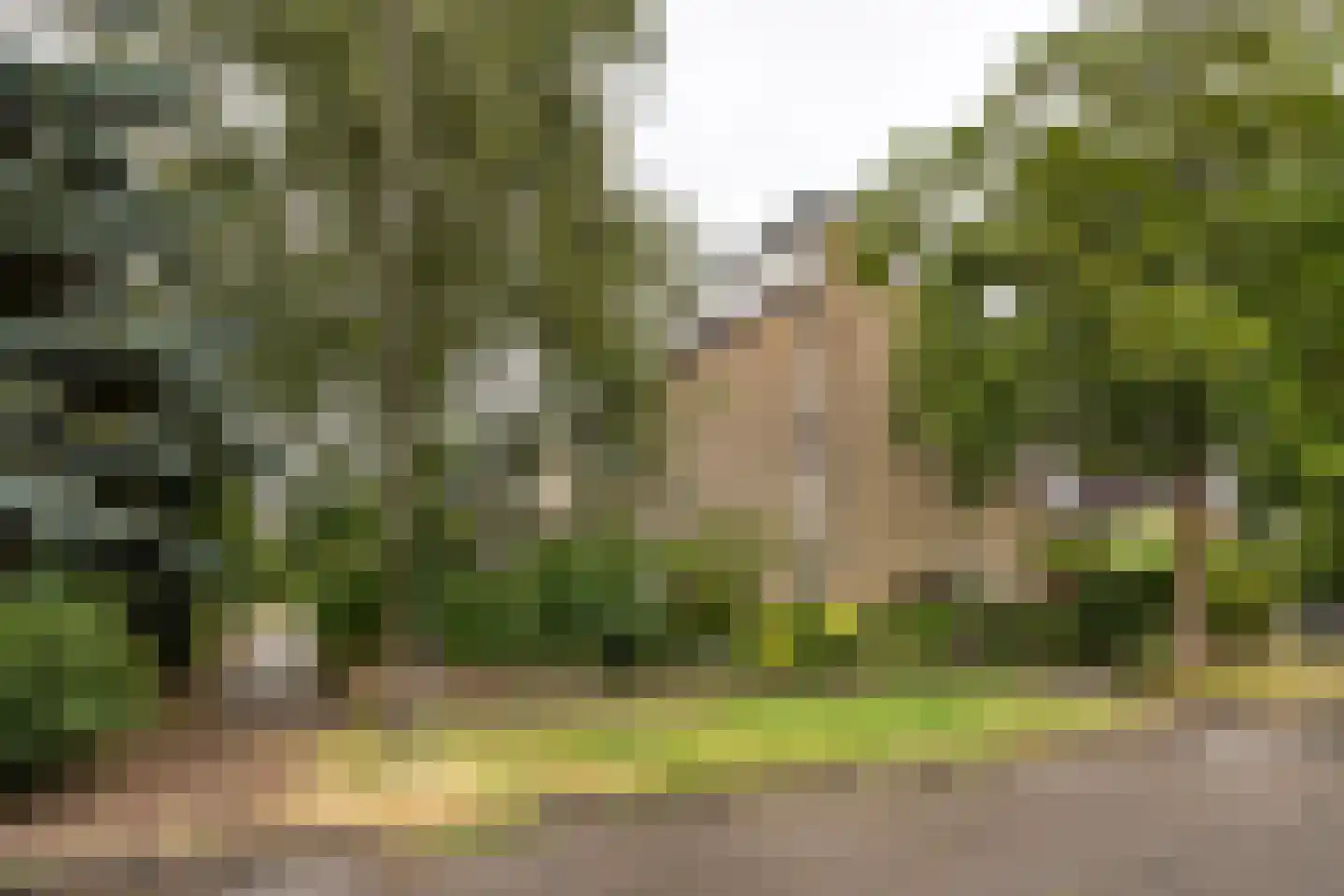Henckenshagen 38 Haarlem thumbnail 25