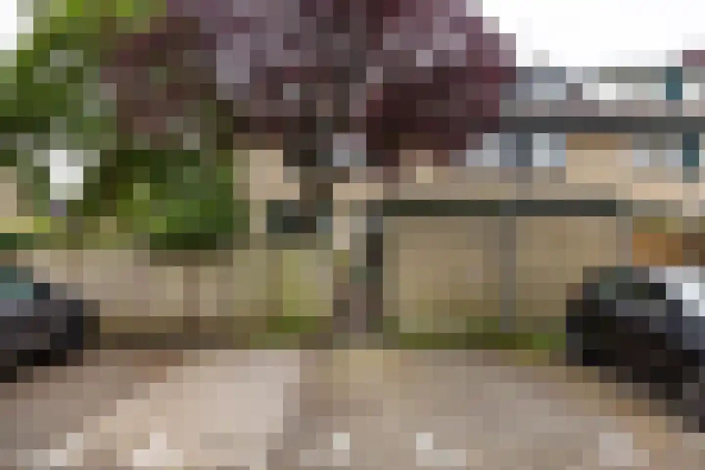 Henckenshagen 38 Haarlem thumbnail 26