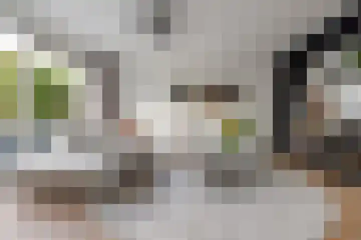 Henckenshagestraat 4 Breda thumbnail 10