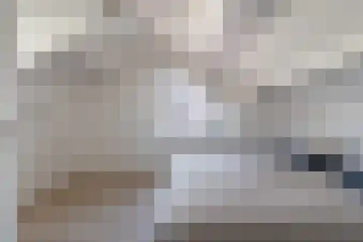 Henckenshagestraat 4 Breda thumbnail 39