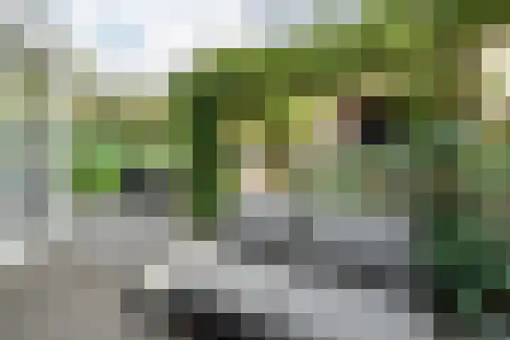 Henckenshagestraat 4 Breda thumbnail 45