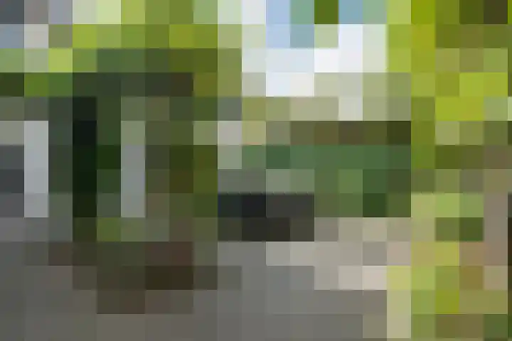 Henckenshagestraat 4 Breda thumbnail 47