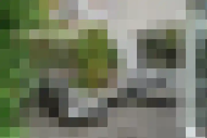 Henckenshagestraat 4 Breda thumbnail 48