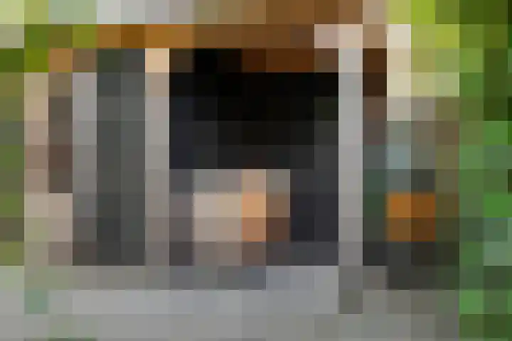 Henckenshagestraat 4 Breda thumbnail 49
