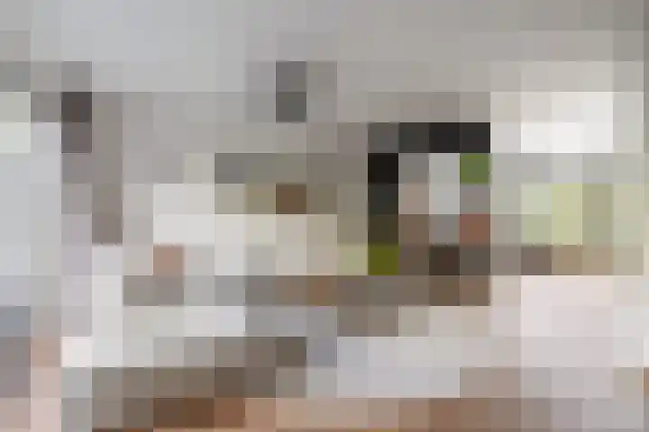 Henckenshagestraat 4 Breda thumbnail 9