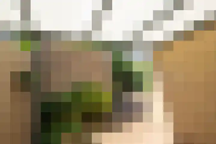 Hend de Kleijnstraat 11 Overasselt thumbnail 20