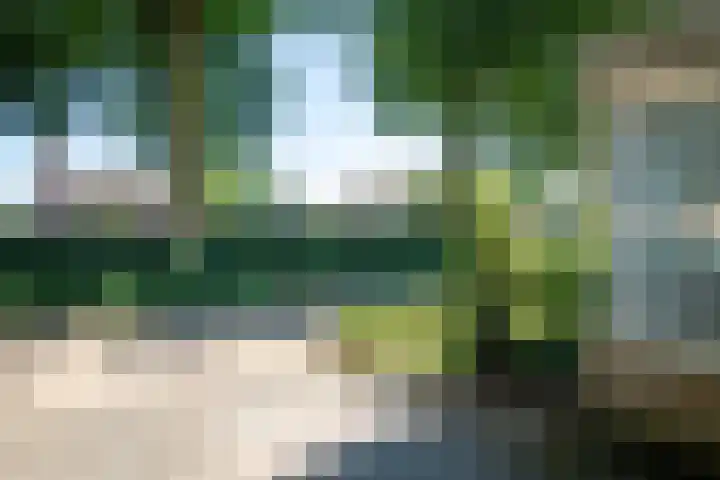Hend de Kleijnstraat 11 Overasselt thumbnail 26