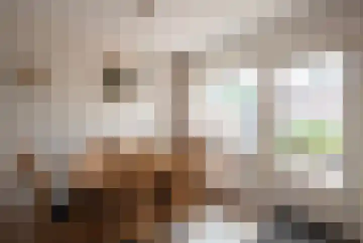 Hend de Kleijnstraat 11 Overasselt thumbnail 6