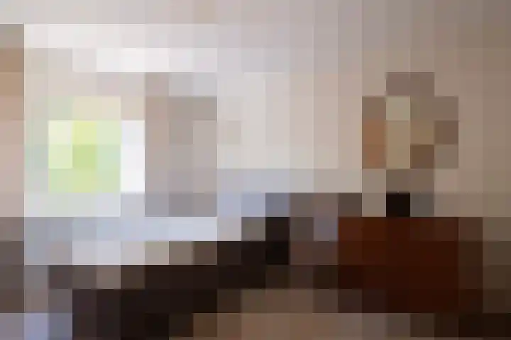 Hend de Kleijnstraat 11 Overasselt thumbnail 8