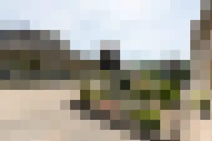 Hend de Kleijnstraat 3 Overasselt thumbnail 31