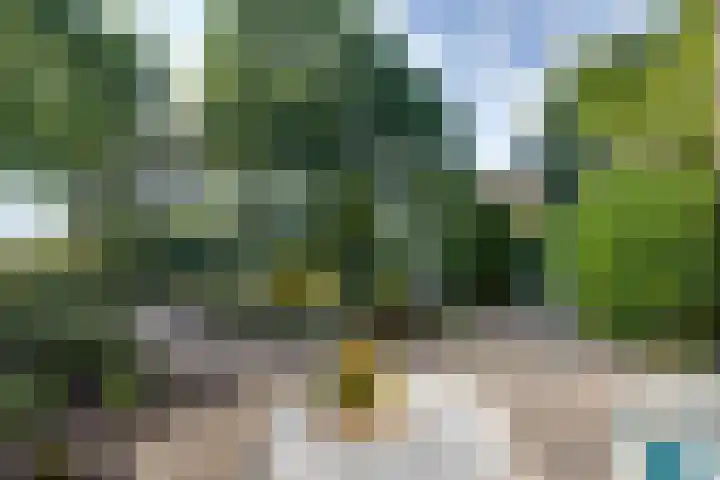 Hendric Dirckszstraat 19 Edam thumbnail 27