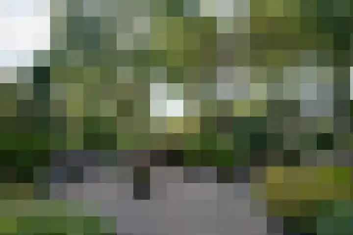 Hendric Dirckszstraat 19 Edam thumbnail 29