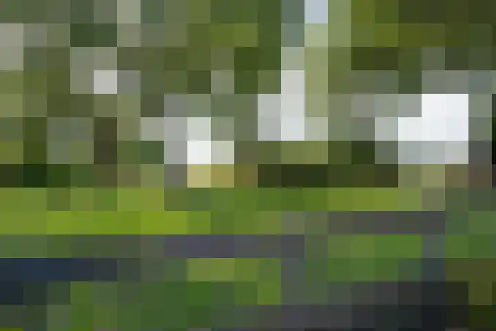 Hendric Dirckszstraat 19 Edam thumbnail 31