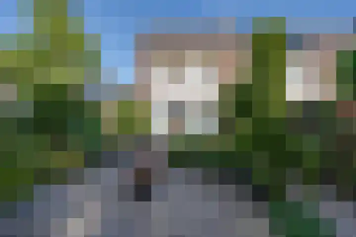 Hendric Dirckszstraat 19 Edam thumbnail 32