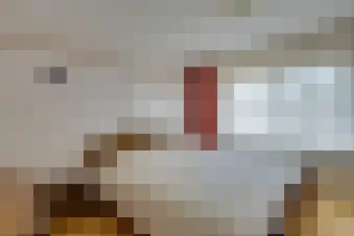 Hendric Dirckszstraat 19 Edam thumbnail 36