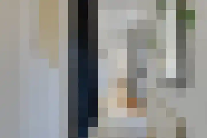 Hendric Dirckszstraat 5 Edam thumbnail 20