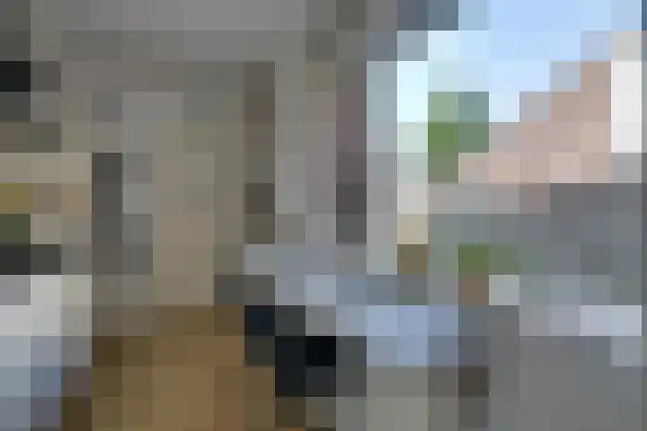 Hendric Dirckszstraat 5 Edam thumbnail 21