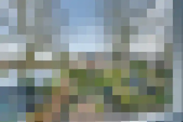 Hendric Dirckszstraat 5 Edam thumbnail 33