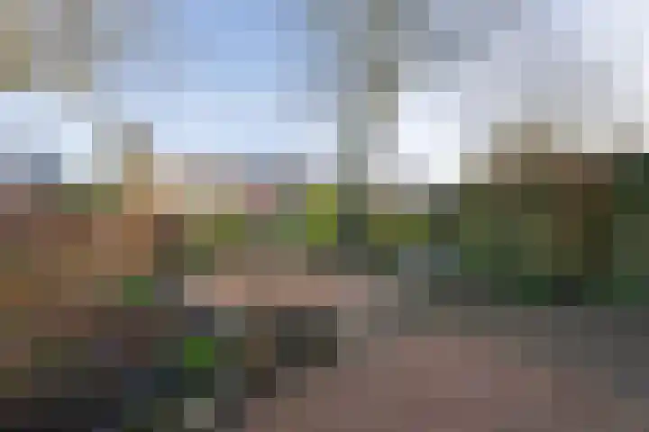 Hendric Dirckszstraat 5 Edam thumbnail 5