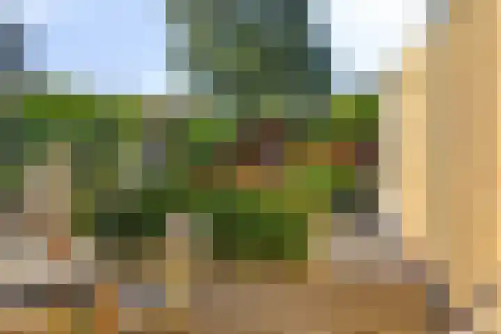 Hendric Stevinlaan 36 Emmeloord thumbnail 33