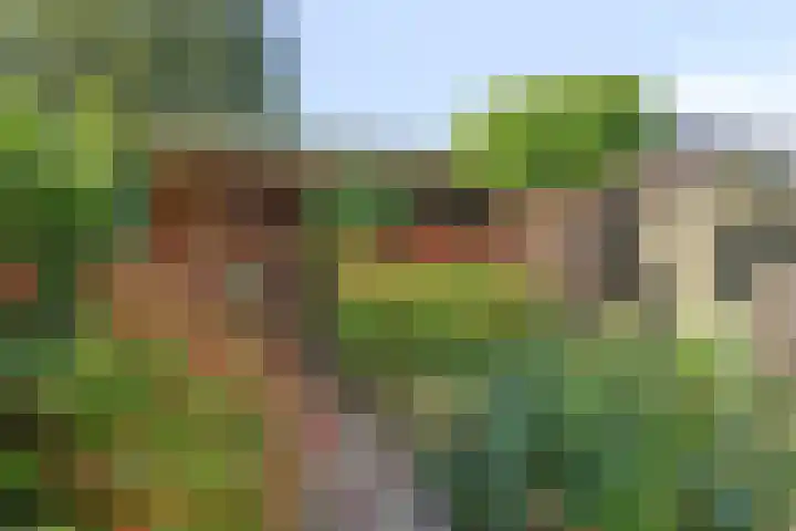 Hendric Stevinlaan 36 Emmeloord thumbnail 35
