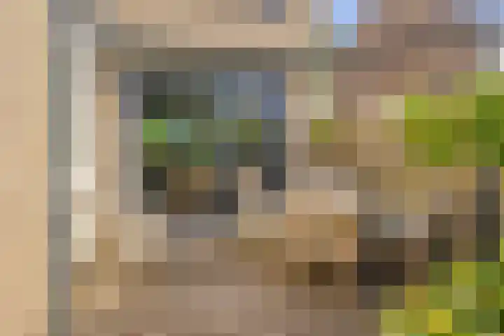 Hendric Stevinlaan 36 Emmeloord thumbnail 38