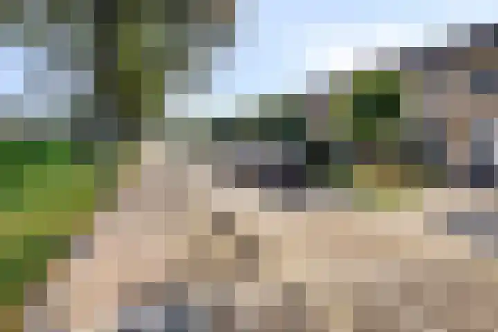 Hendric Stevinlaan 36 Emmeloord thumbnail 4