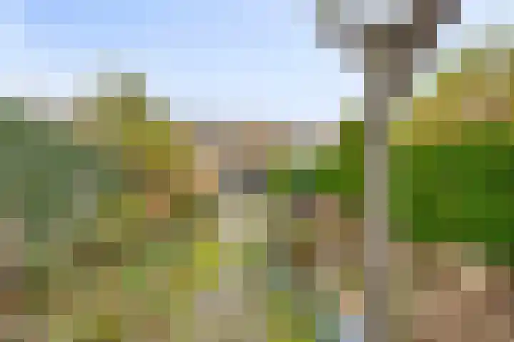 Hendric Stevinlaan 52 Emmeloord thumbnail 22