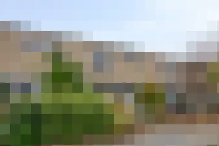 Hendric Stevinlaan 52 Emmeloord thumbnail 26