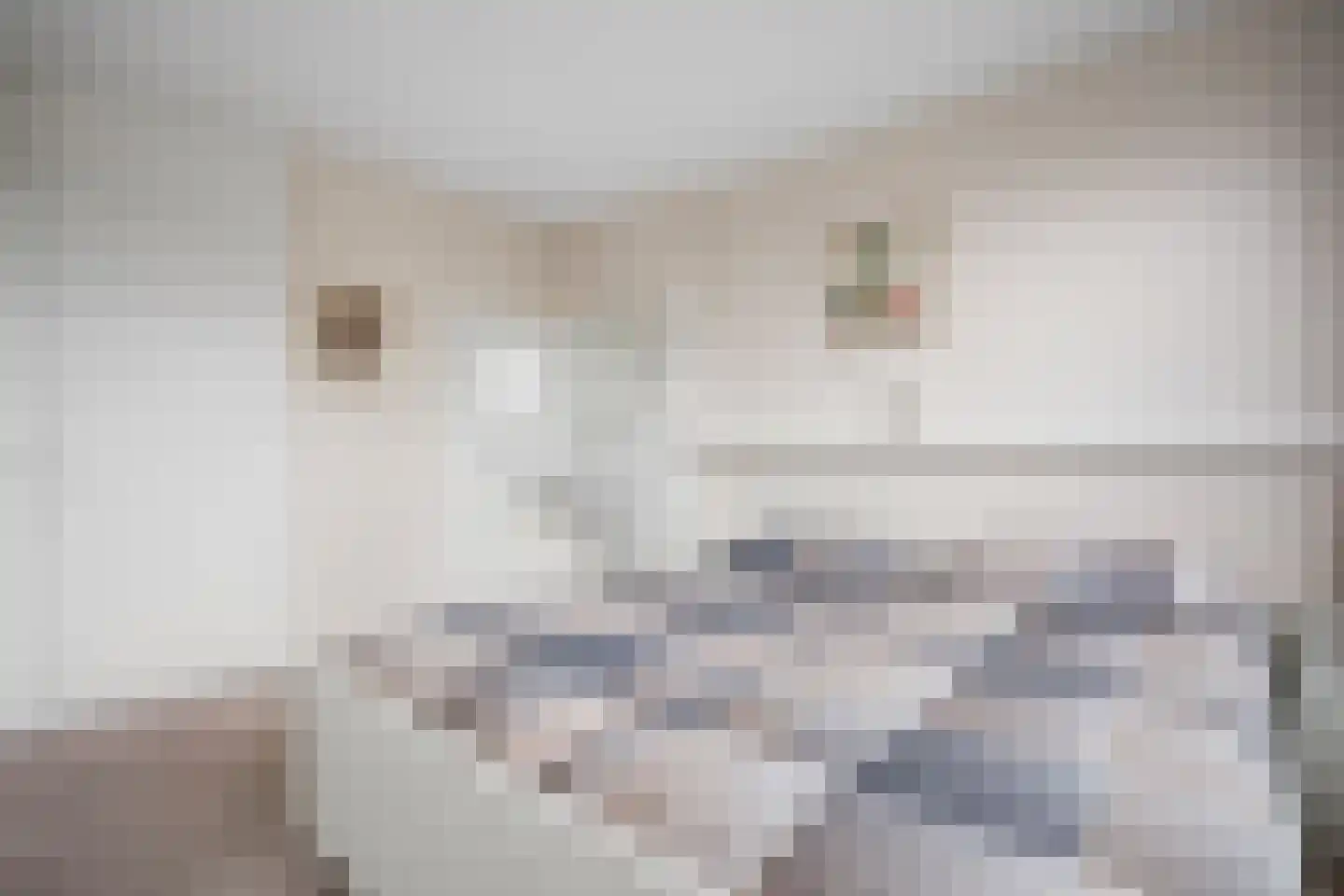Hendric Stevinstraat 8 Harderwijk thumbnail 20