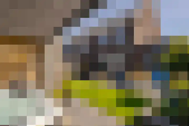 Hendrick Avercampstraat 12 Hardinxveld-Giessendam thumbnail 30