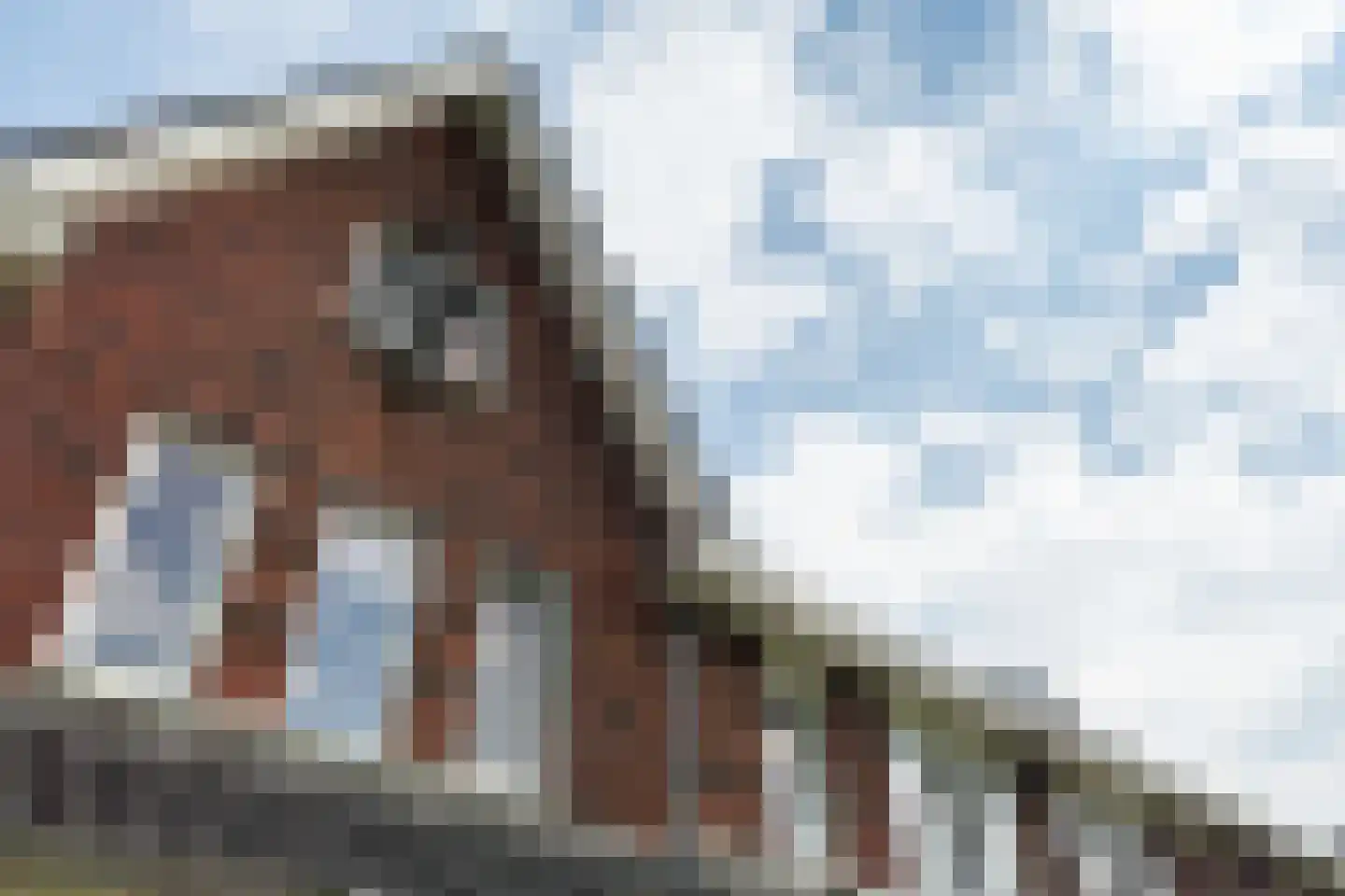 Hendrick Avercampstraat 88 Alphen aan den Rijn thumbnail 10