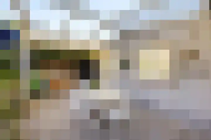 Hendrick de Keijserstraat 7 Vlissingen thumbnail 25