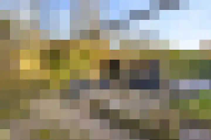 Hendrick de Keijserstraat 7 Vlissingen thumbnail 29