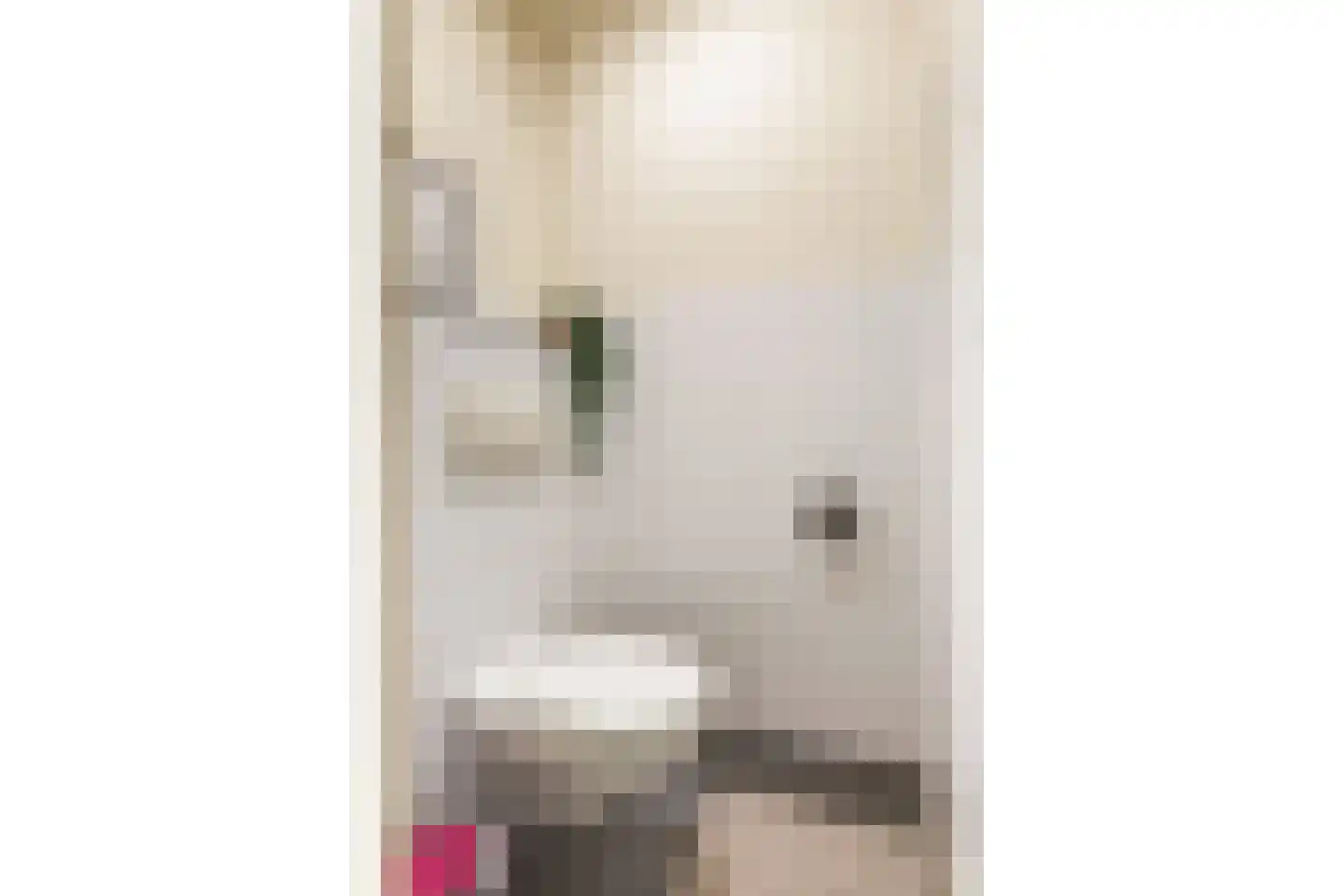 Hendrick de Keyserlaan 18 Hilversum thumbnail 23