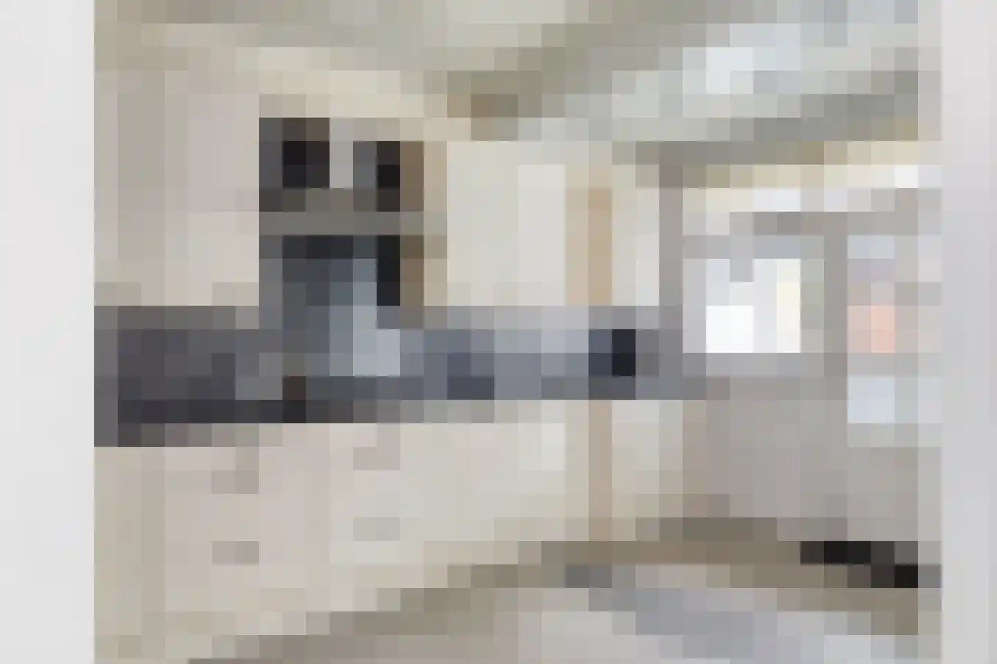 Hendrick de Keyserstraat 25 Almelo thumbnail 11